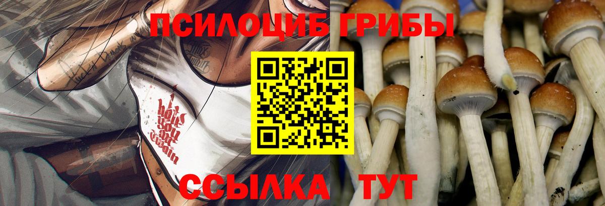 Галлюциногенные грибы MAGIC MUSHROOMS  Вход с VPN  Краснокаменск  Псилоцибиновые грибы мицелий 